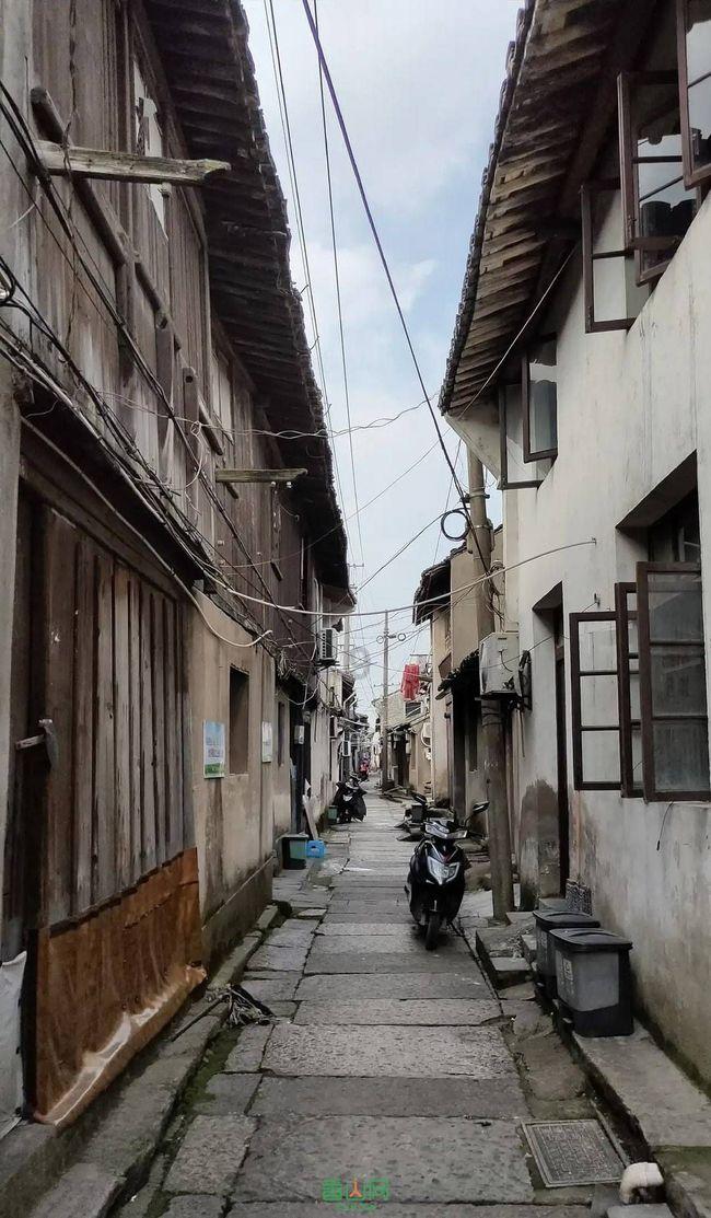 小艾比模仿秀